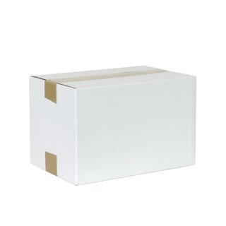 Faltkarton, 300 x 200 x 200 mm (Außenmaße), 1-wellig, weiß mit Zusatzriller bei 100 mm