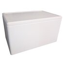 EPS-Styroporbox, Außenmaß: 310 x 250 x 185 mm, Innenmaß:...