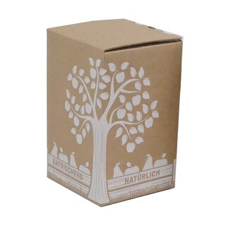 Bag in Box Karton für 3 L, 142 x 134 x 217 mm, mit Einsteckdeckel, Handgriffstanzungen und Staublaschen mit Spenderöffnung, 1-farbig bedruckt