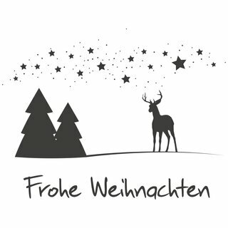 Faltkarton bedruckt, 300 x 200 x 160 mm (Auenmae), 1-wellig, braun, mit Weihnachtsdruck mit Firmenname Tannenbaum, Sterne, Kugel rost