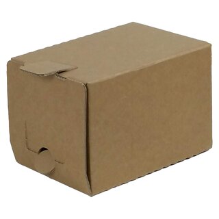 Bag in Box Karton für 3 L, 142 x 134 x 217 mm, mit Einsteckdeckel, Handgriffstanzungen und Staublaschen mit Spenderöffnung UNBEDRUCKT, ABVERKAUF