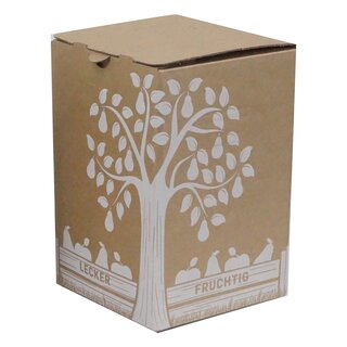 Muster Bag in Box Karton fr 5 L, 155 x 155 x 232 mm, mit Einsteckdeckel, Handgriffstanzungen und Staublaschen mit Spenderffnung, 1-farbig bedruckt