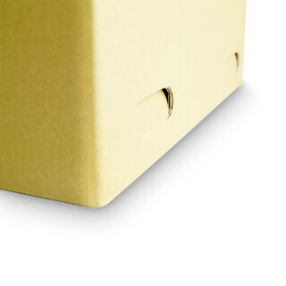 Umzugskarton /Speditionskarton, extra stark, 480 x 310 x 380 mm (Auenma), 2.31 BC-Welle, braun, unbedruckt